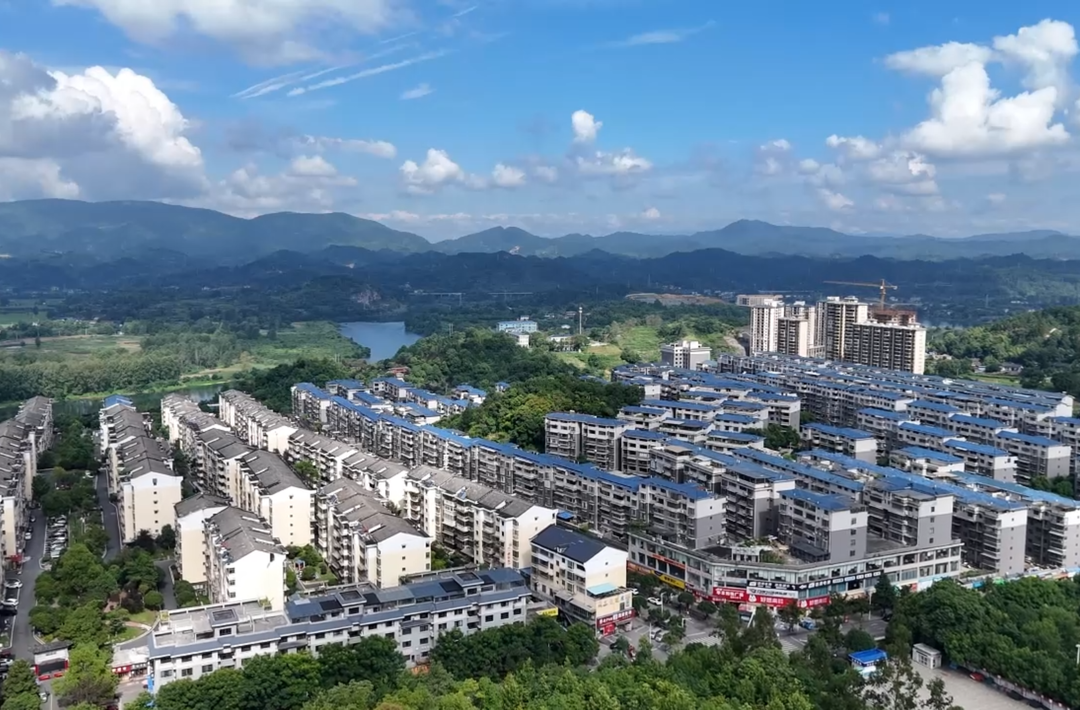 提案追踪看实效｜“金点子” 提案点亮社区治理新生活