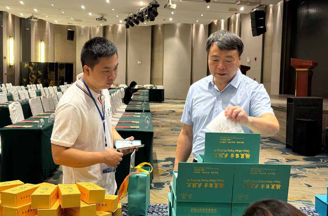 代表委员风采｜曾群雄：实业守初心 艾草惠民生