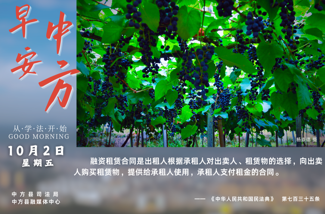 海报|早安中方·从学法开始（八月二十二）