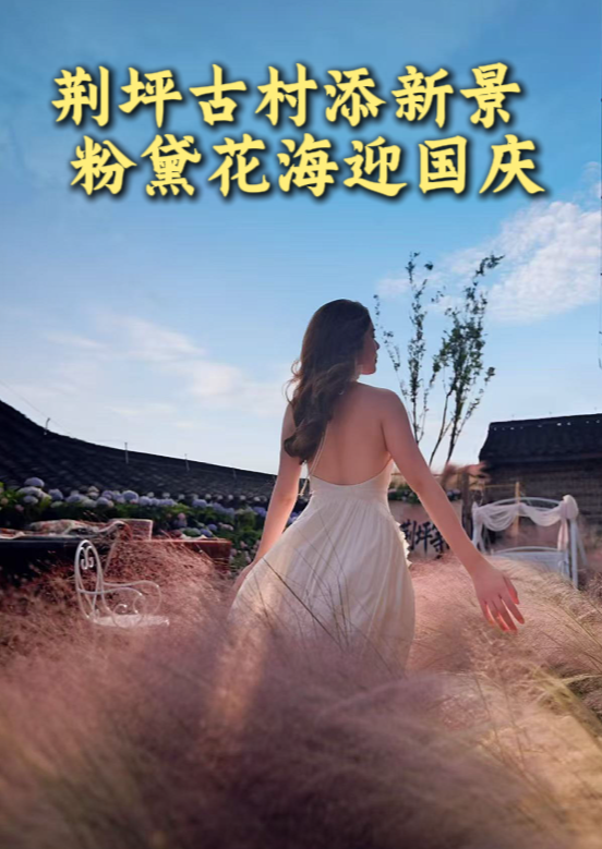 视频｜ 中方：荆坪古村添新景  粉黛花海迎国庆