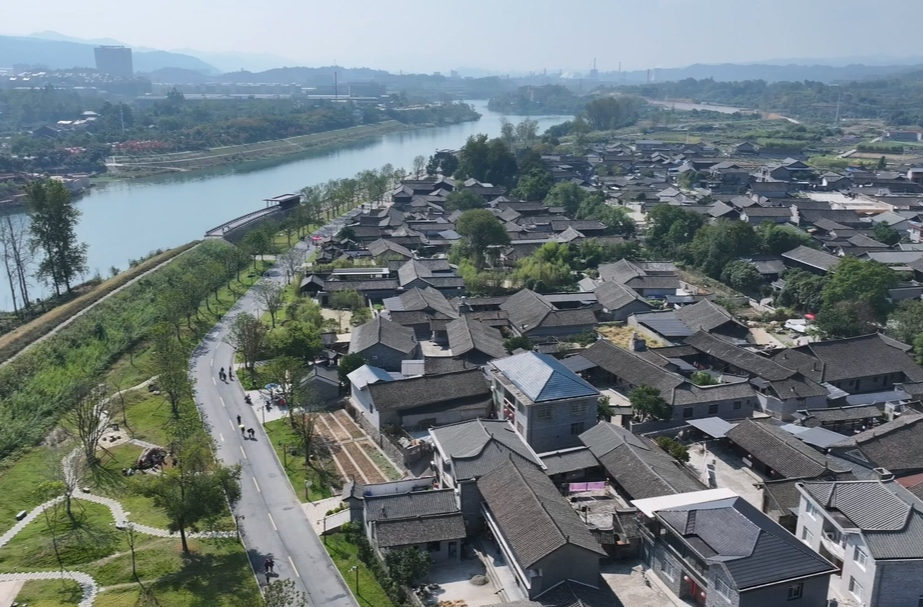 提案追踪看实效｜建言赋能古村振兴 琴韵文脉焕发新生