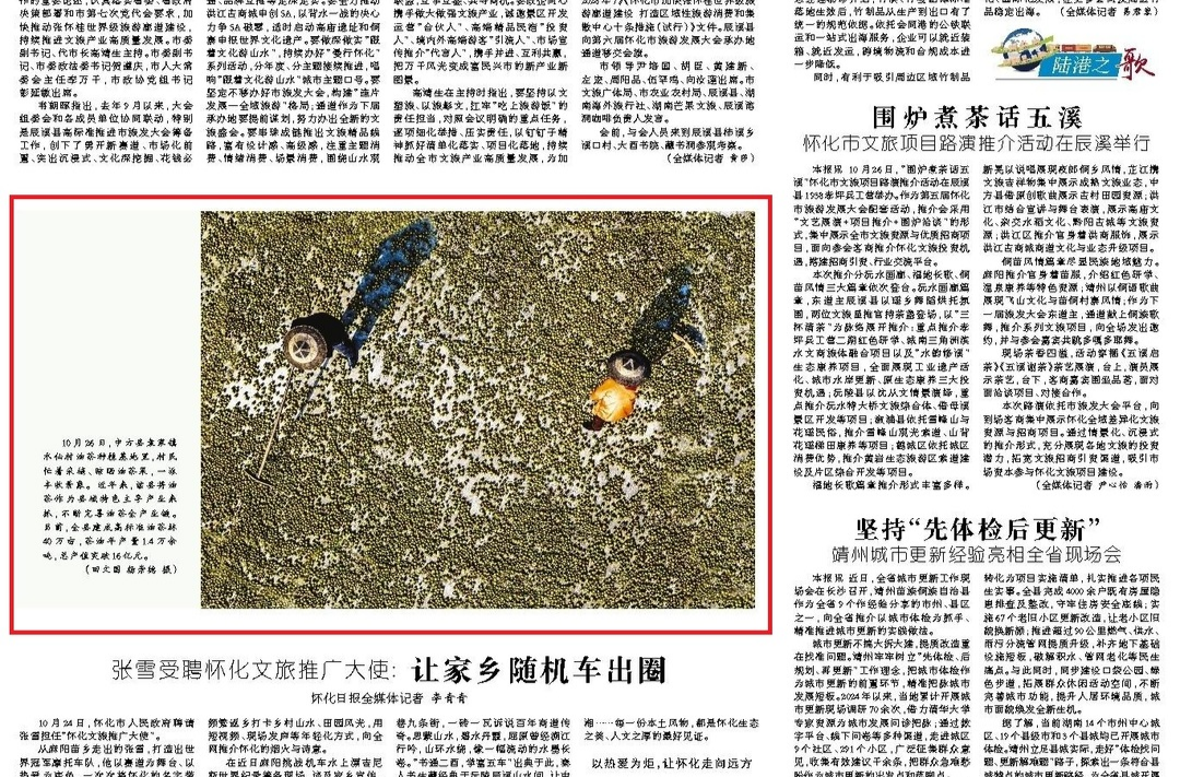 怀化日报头版|图片新闻：中方县袁家镇水仙村油茶种植基地