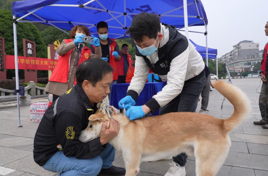 中方县开展犬猫狂犬病疫苗免费接种活动