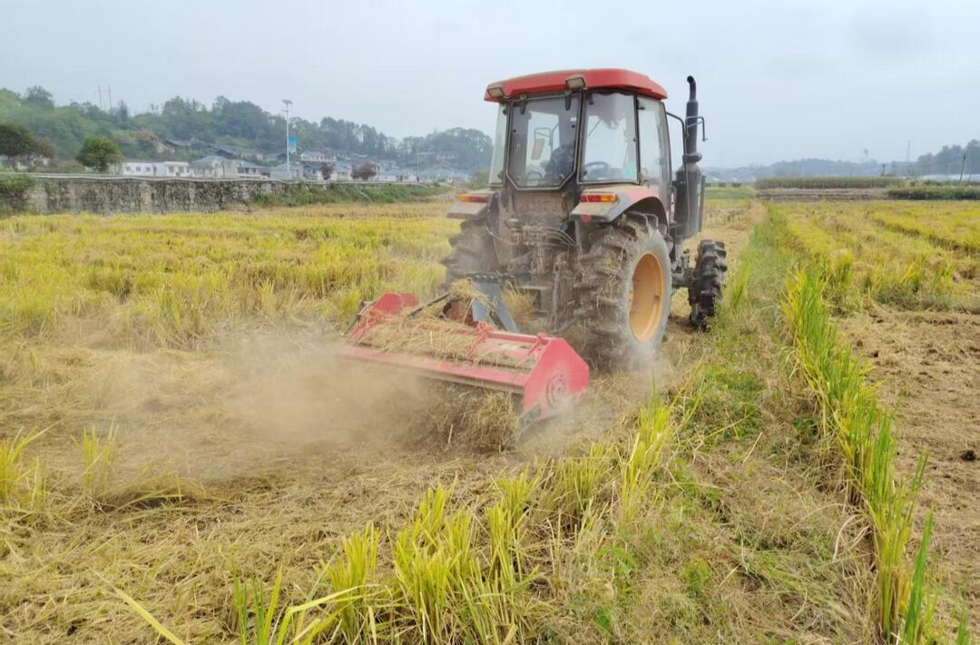 严控秸秆禁限烧 变废为宝护蓝天 中方县全力筑牢生态安全屏障