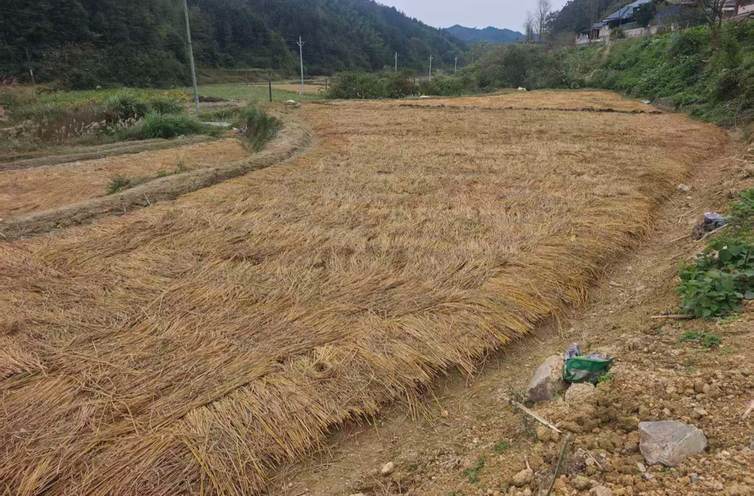 中方县袁家镇：秸秆变废为宝 袁家镇开展秸秆综合利用行动