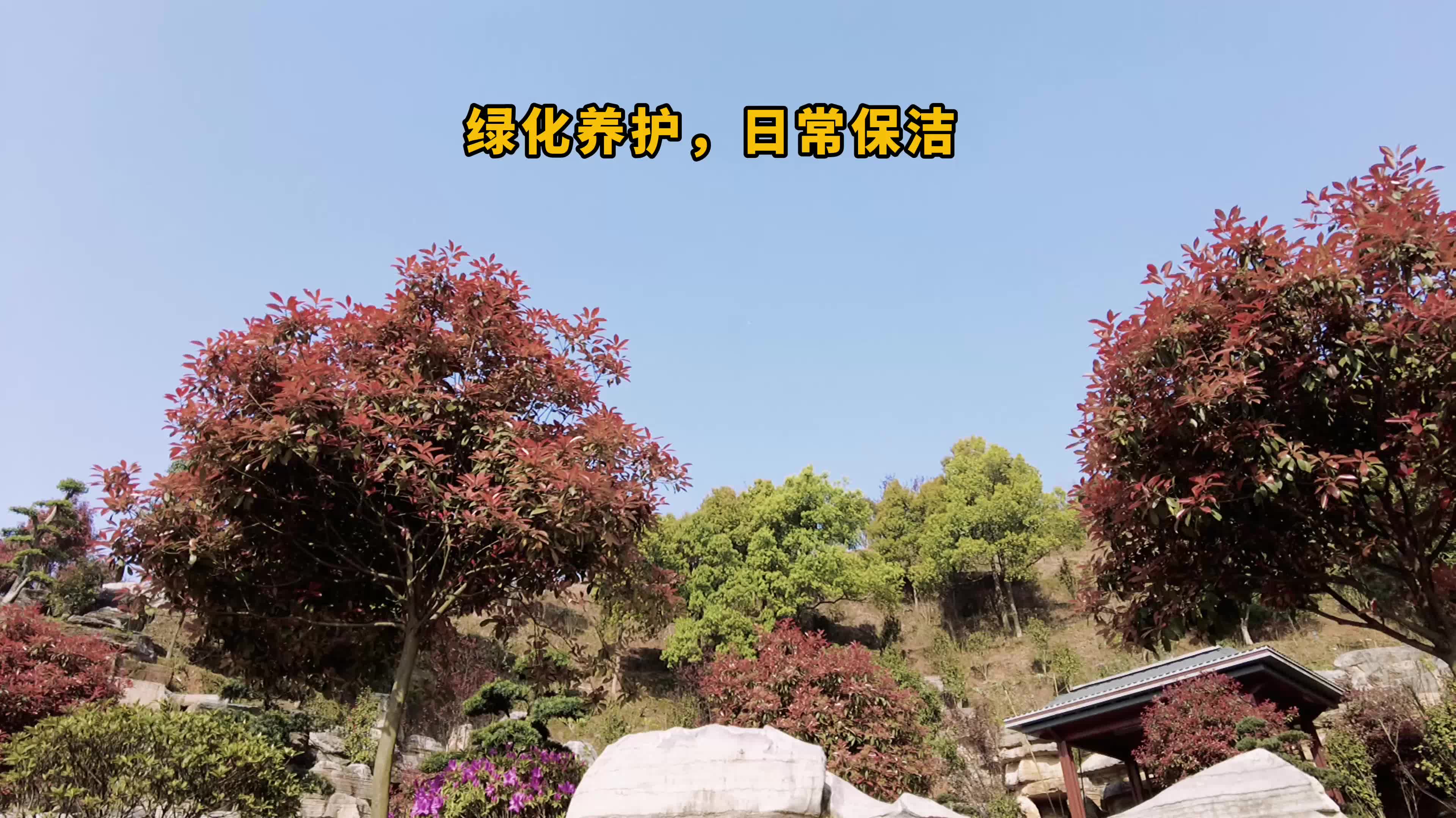 推进国家园林县城创建 我们在行动