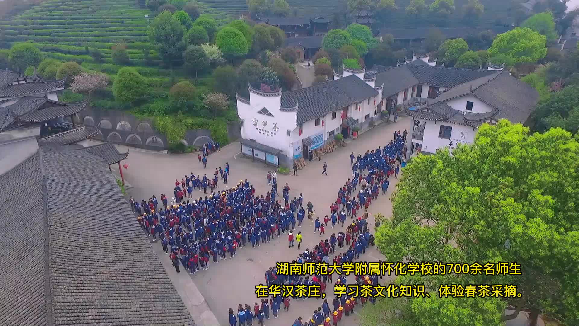 湖南师大附属怀化学校师生到华汉茶庄开展研学活动