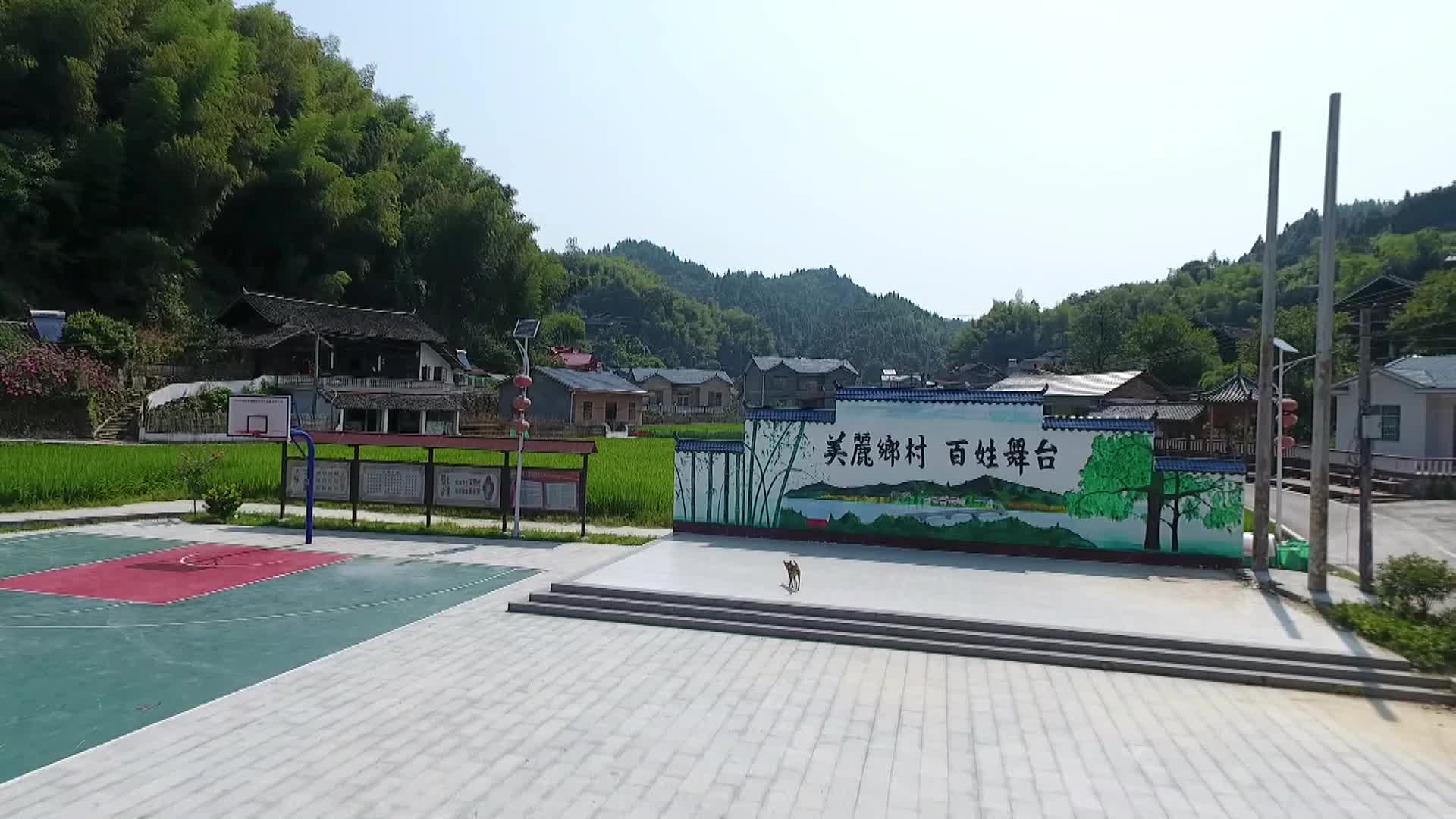 中方县新路河镇字溪村，美丽乡村照进现实