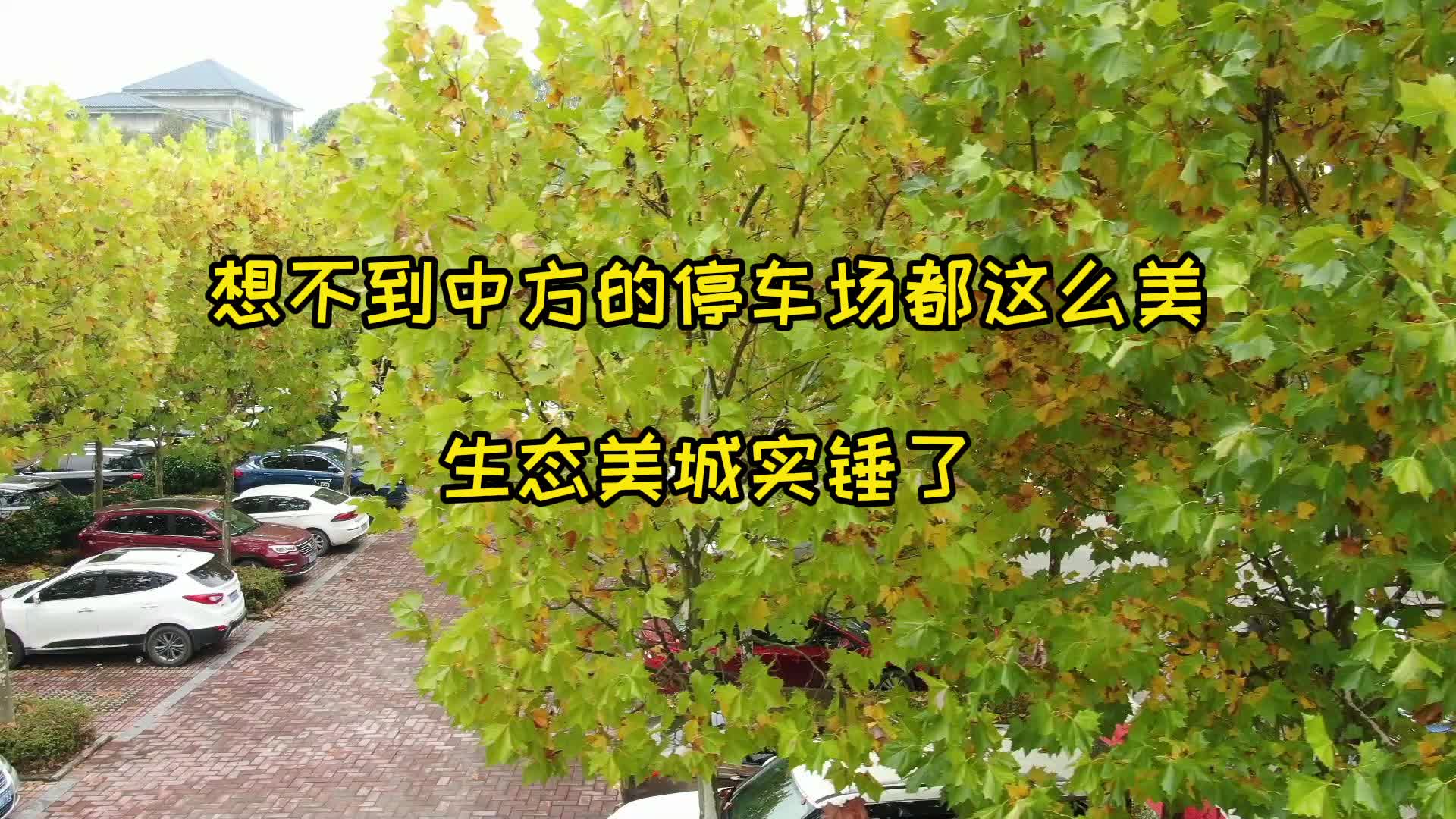 生态美城实锤了