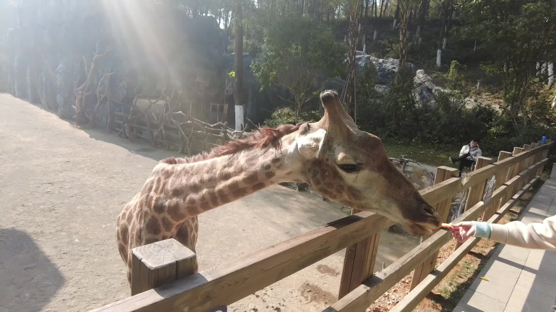 融媒视界|中方县生态文化游（怀化市野生动植物园）