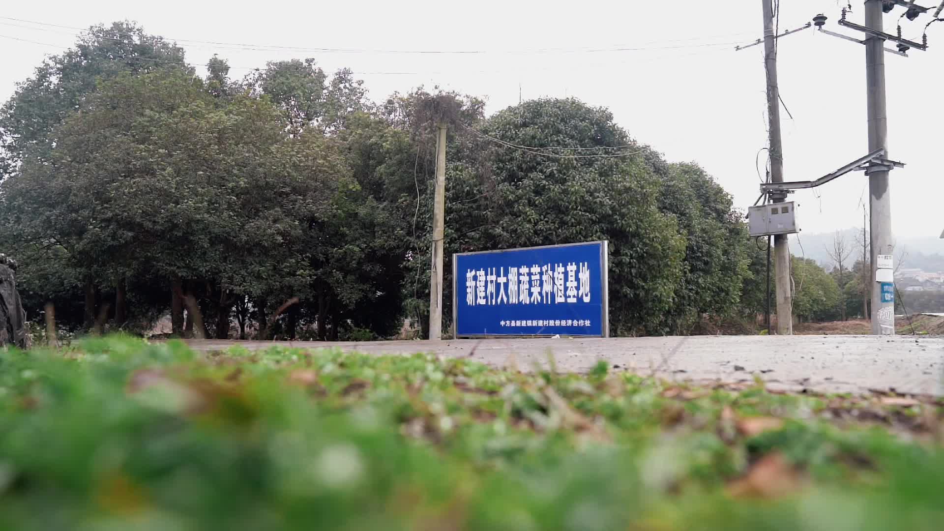 新建镇新建村：“新村民”带来了新盼头