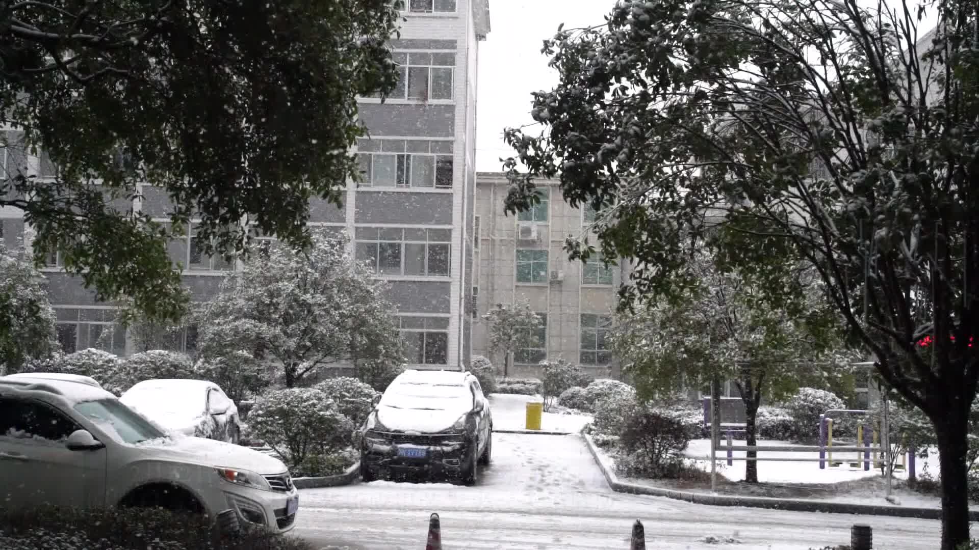 中方：春雪映新城