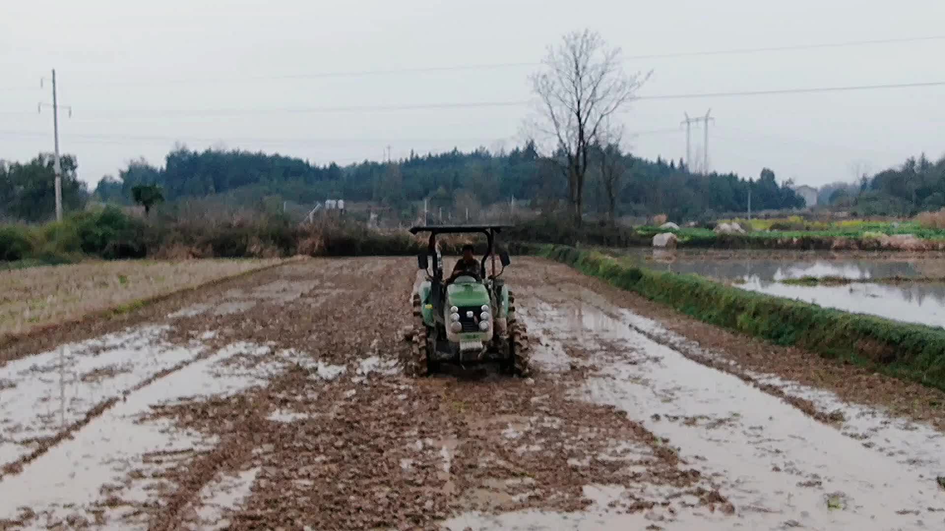 我们的小康生活｜“种粮大户”高生铁田间地头忙春耕