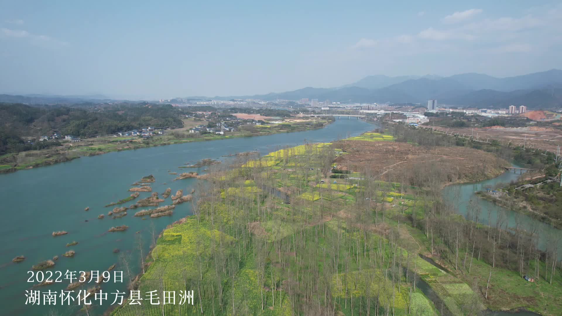 不负春光|中方毛田洲百亩油菜花争相绽放