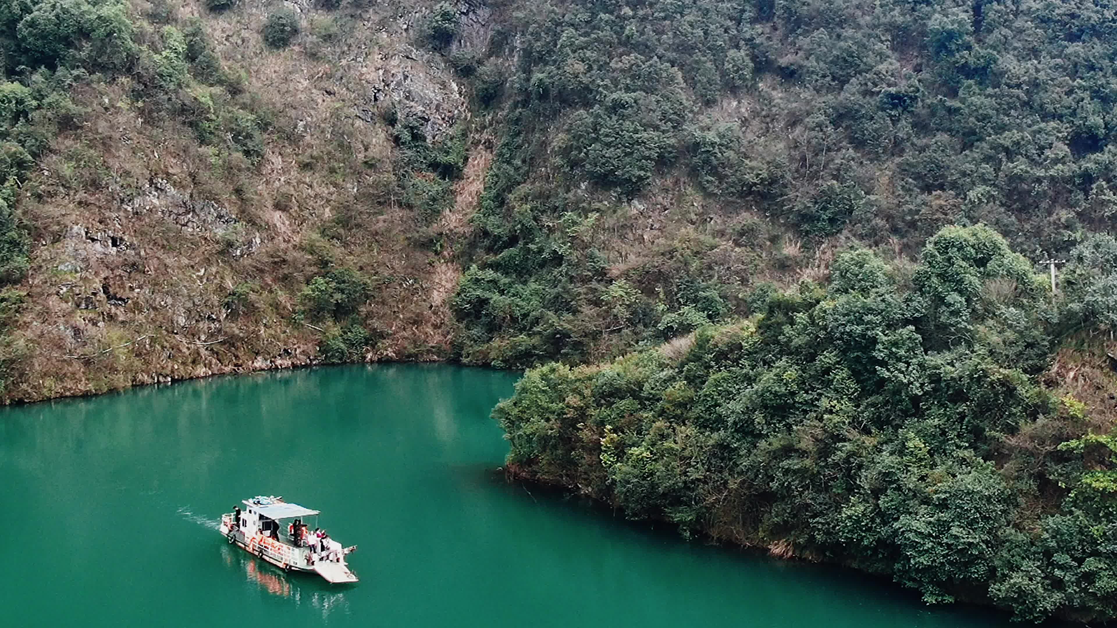 生态持续向好 100余只“爱情鸟”落户中方黄溪
