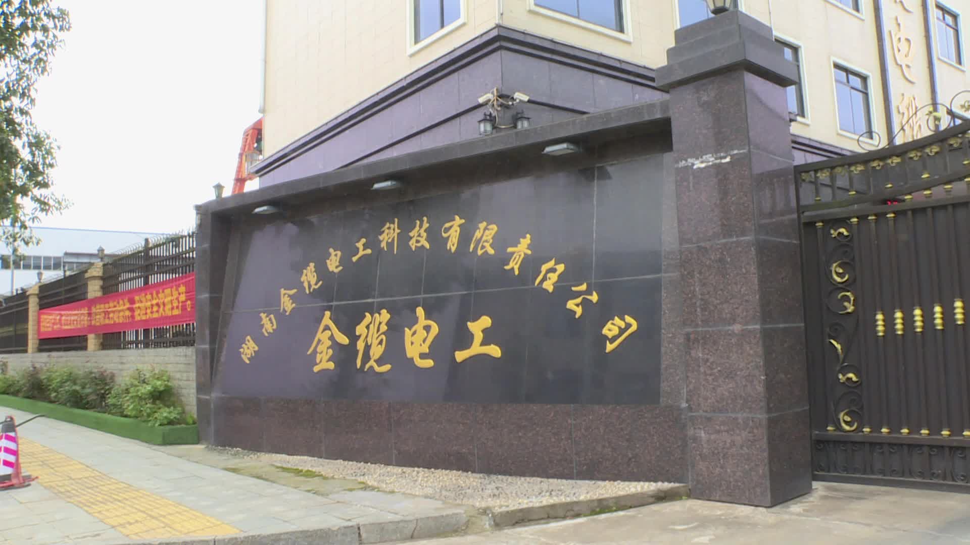 湖南金缆电工科技有限责任公司捐赠防疫物资