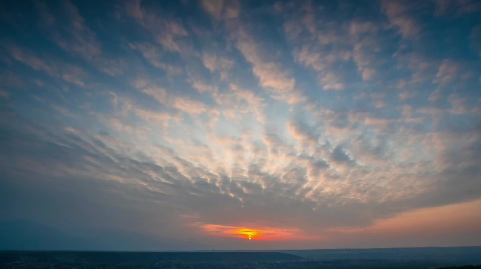 春茶生产忙 茶农茶园笑开颜