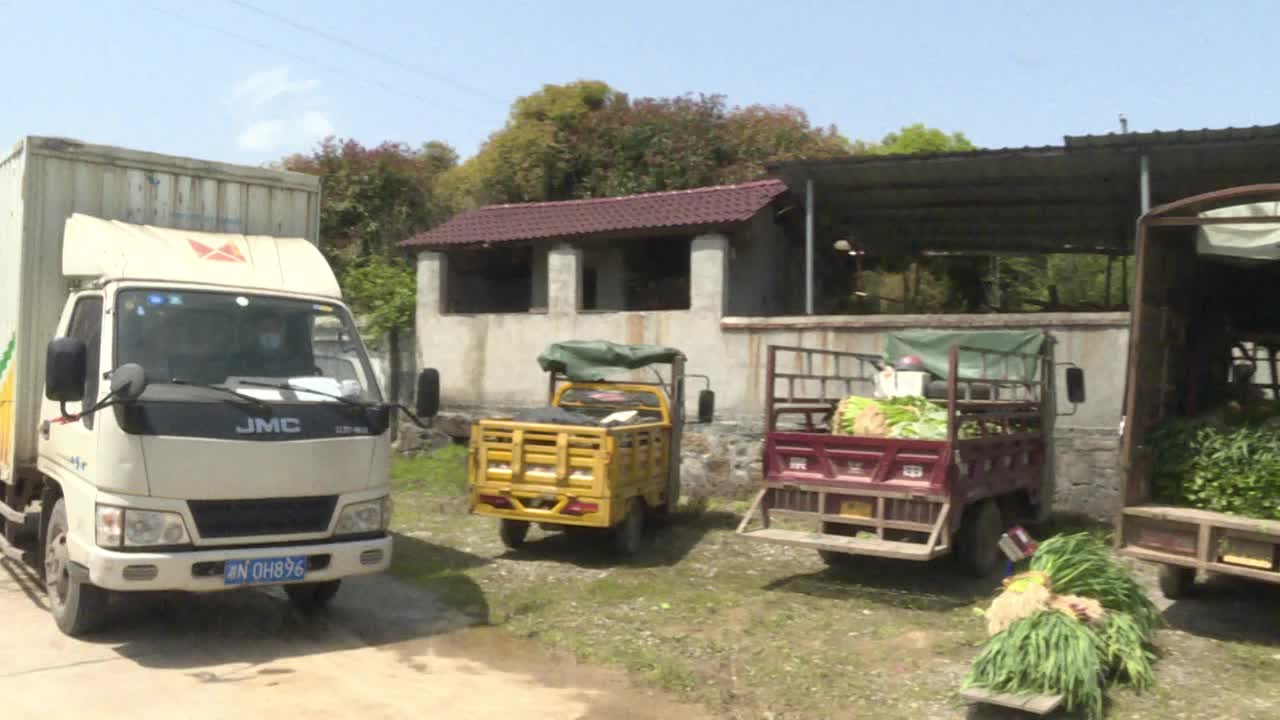 中方县供销社为菜农解决粮食滞留问题