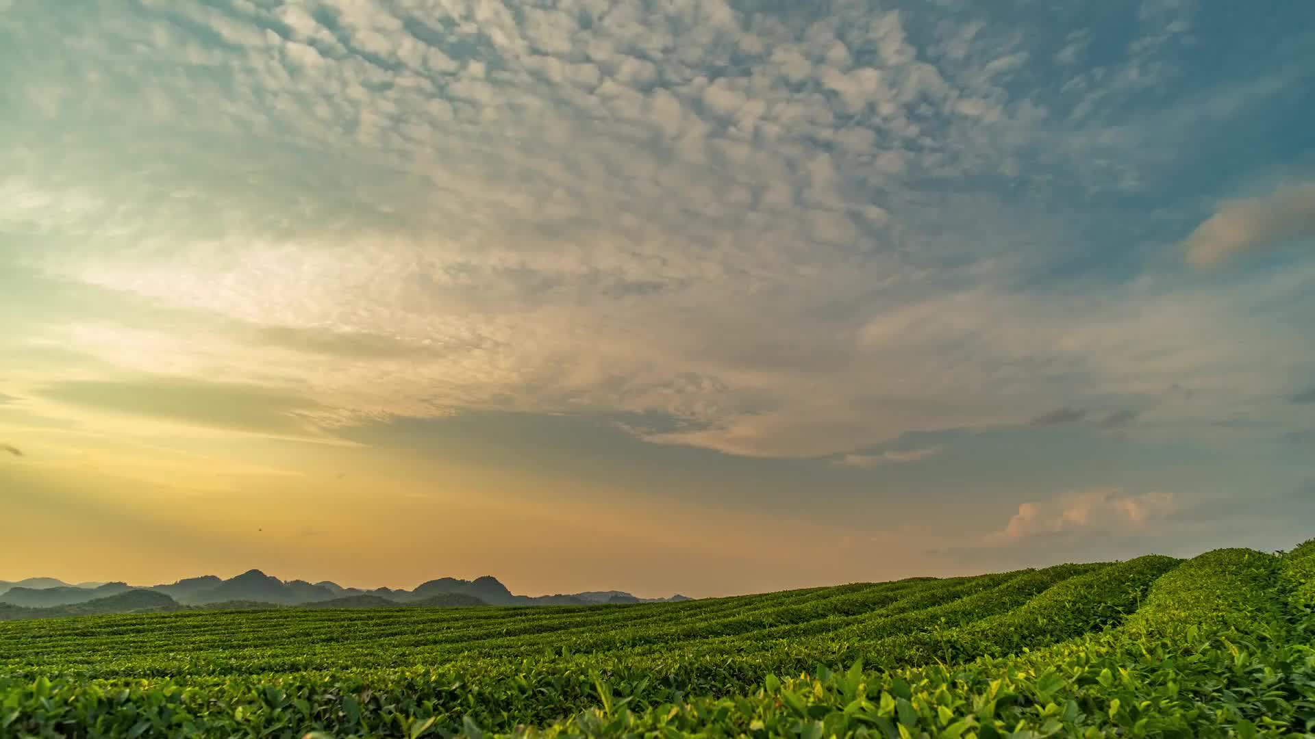 “我与老爸来直播” 新农人的新探索