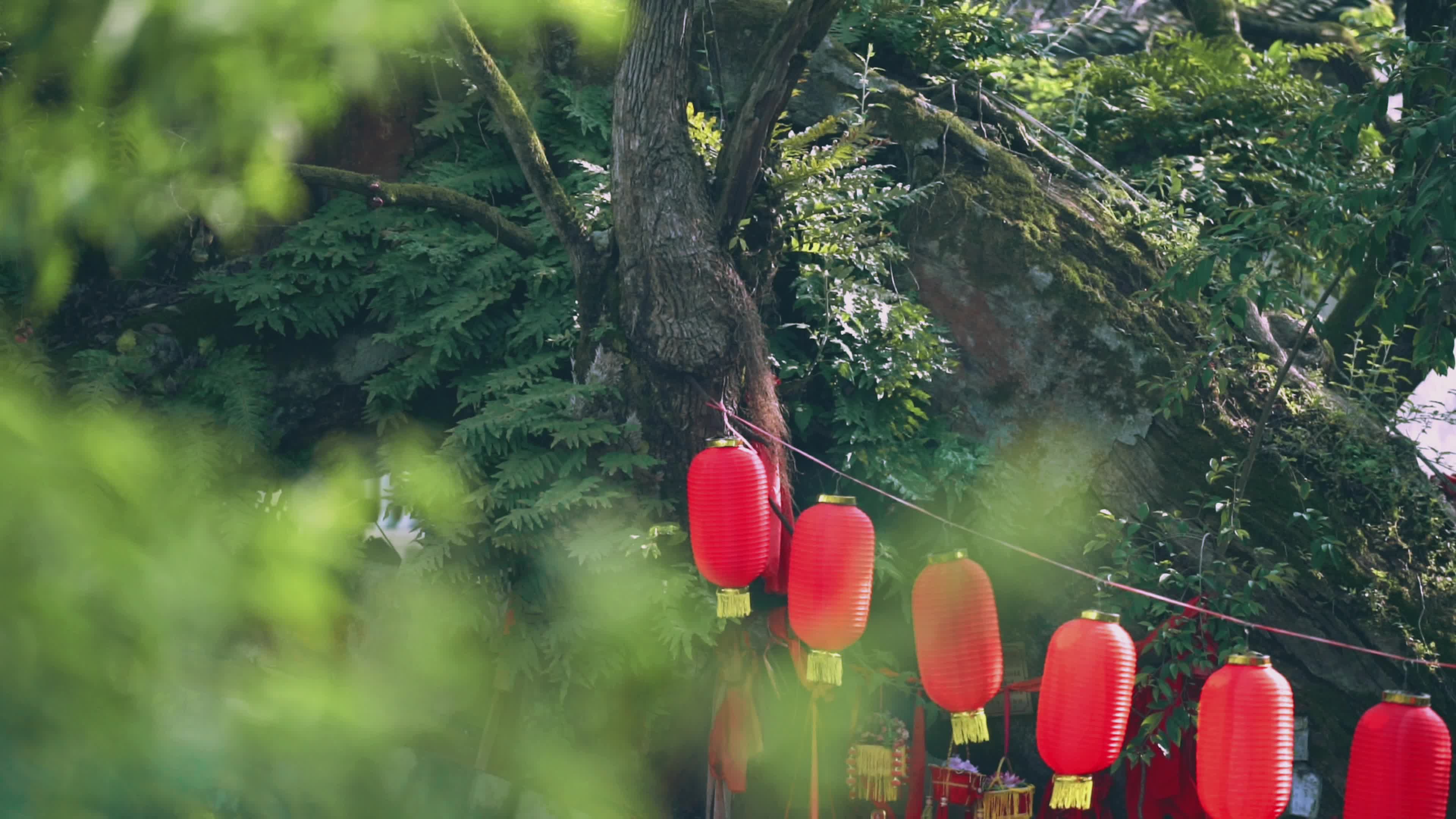 桃红李白菜花黄 踏青寻胜到中方|荆坪人间四月天