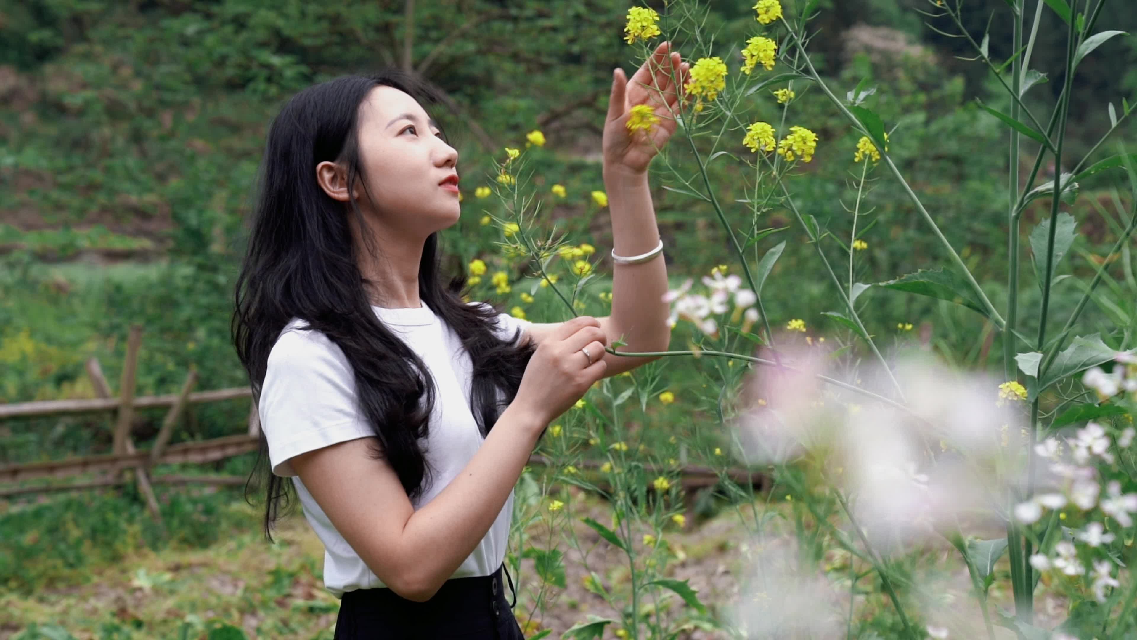 桃红李白菜花黄 踏青寻胜到中方|大美康龙