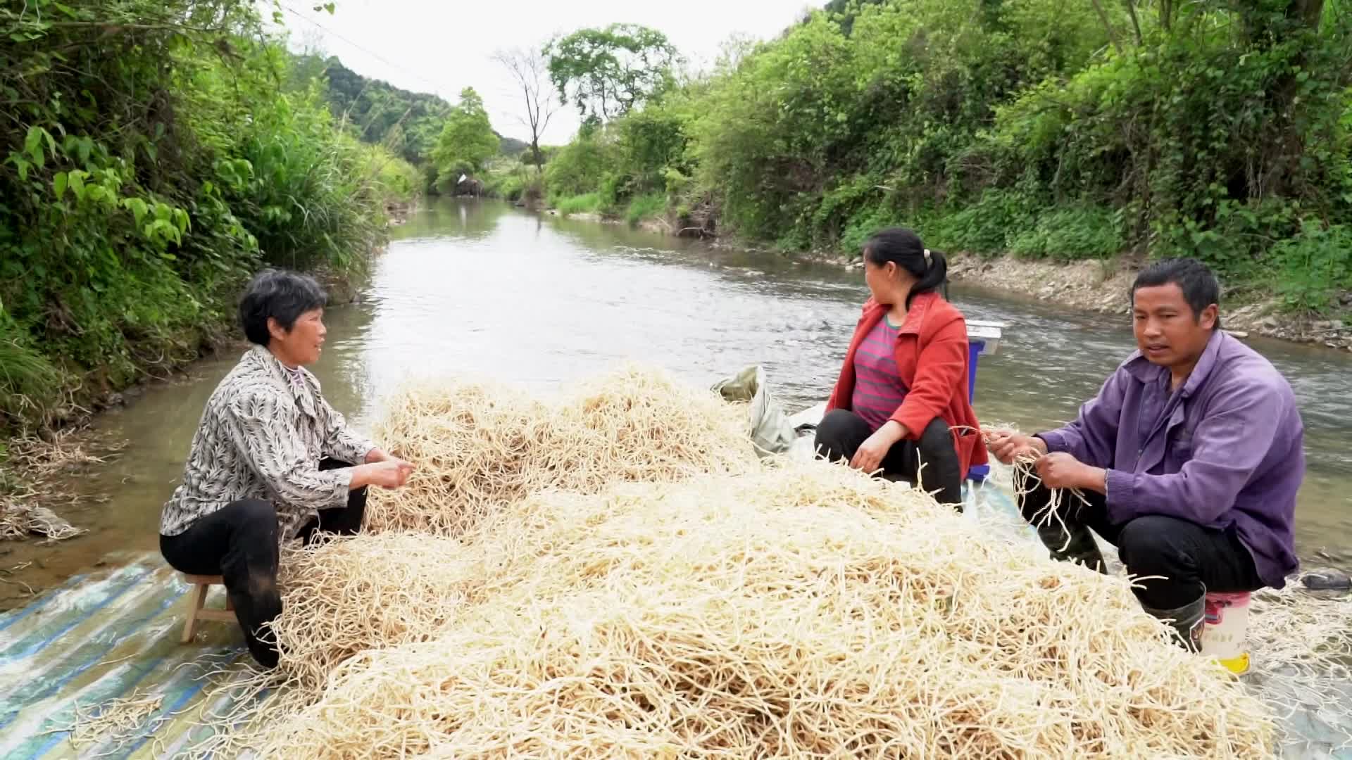 中方：变“草”为“宝”铺就村民致富路