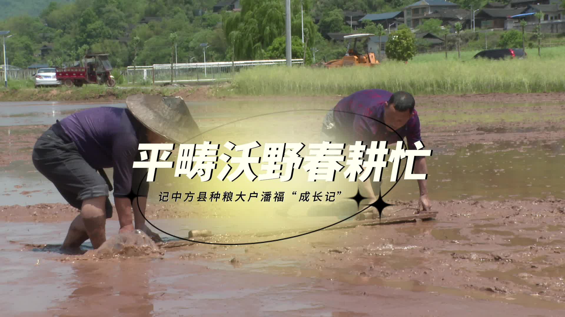 视频|平畴沃野春耕忙——  记中方县种粮大户潘福“成长记”