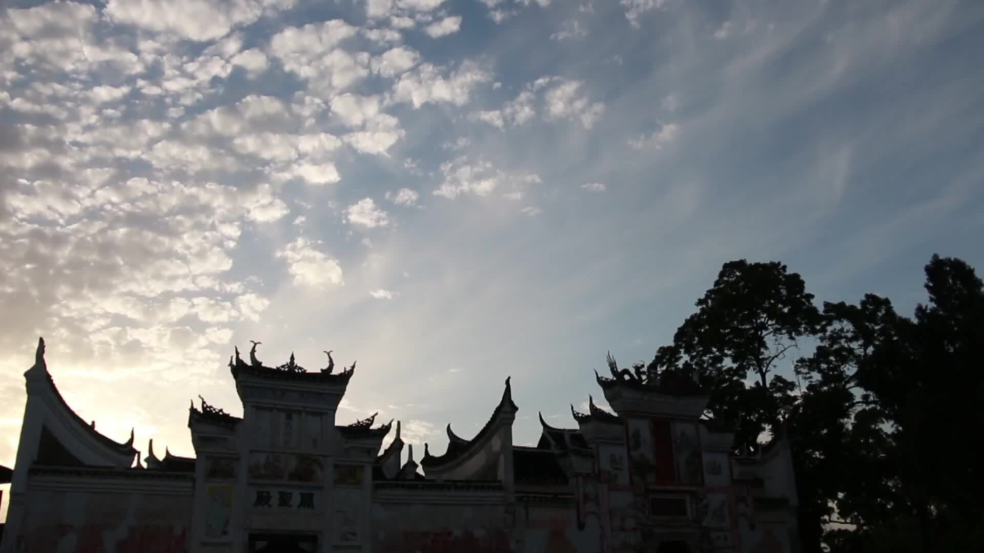 中方县：重阳古树 守护千年荆坪村