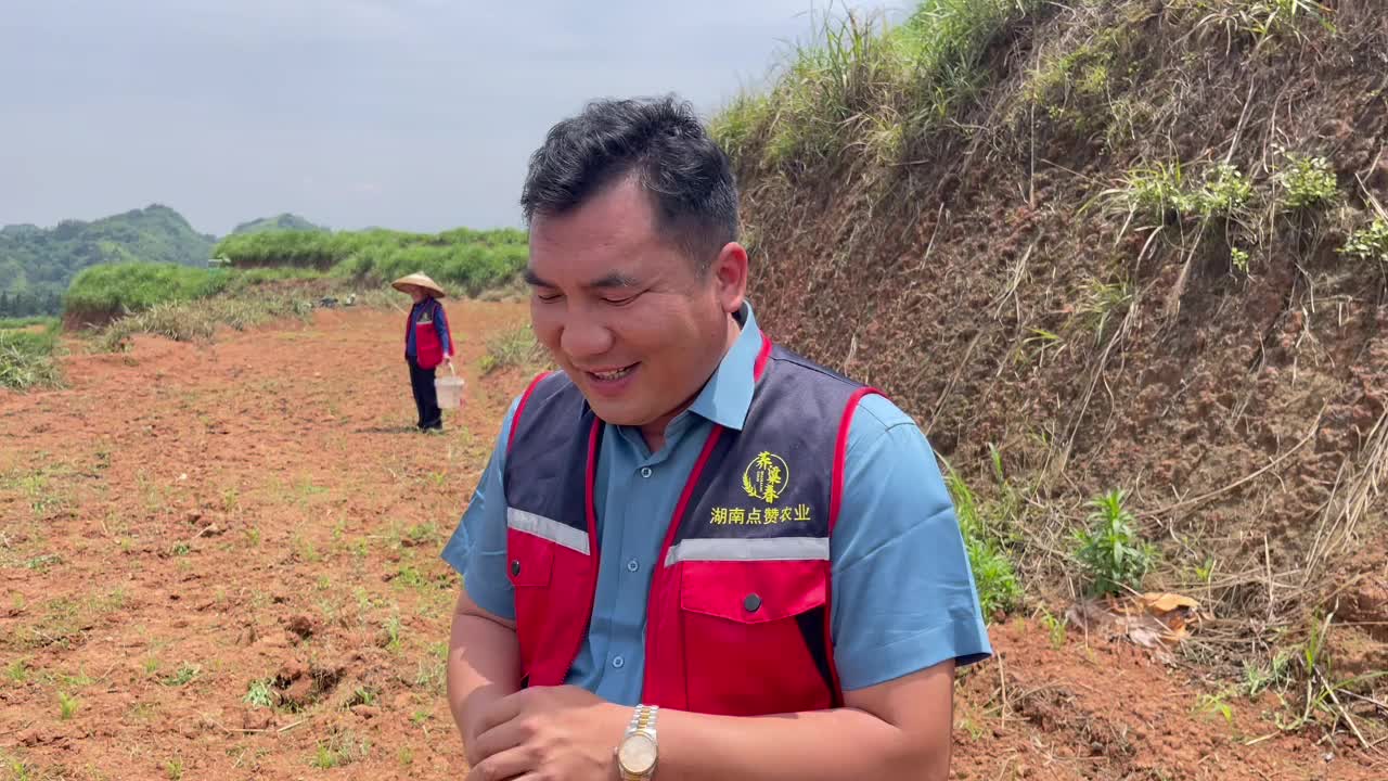 一起向未来·绿水青山就是金山银山|为茁壮成长的旱粮作物“点赞”