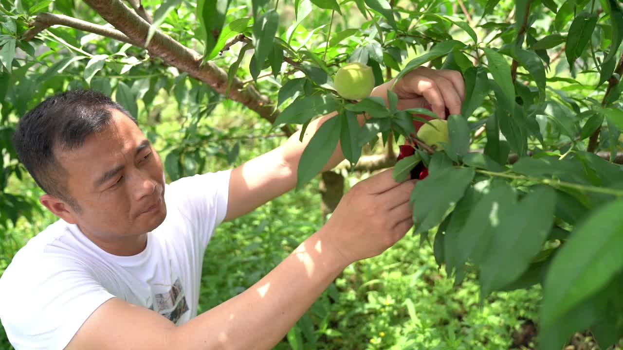 我们的新时代｜能人返乡创业 创岗增收带动群众大步向前