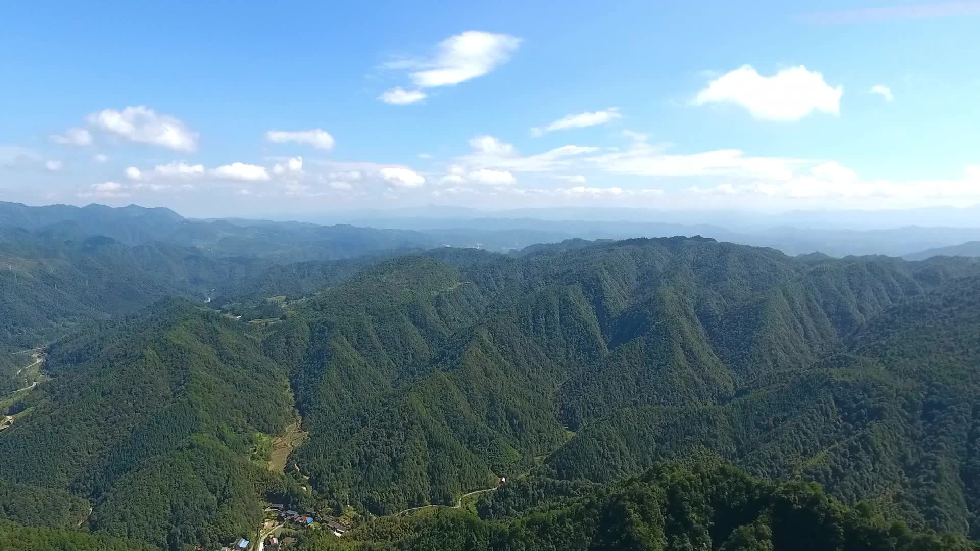 我们的新时代|“森林守护者”的自白：坚守只为一方青山常绿
