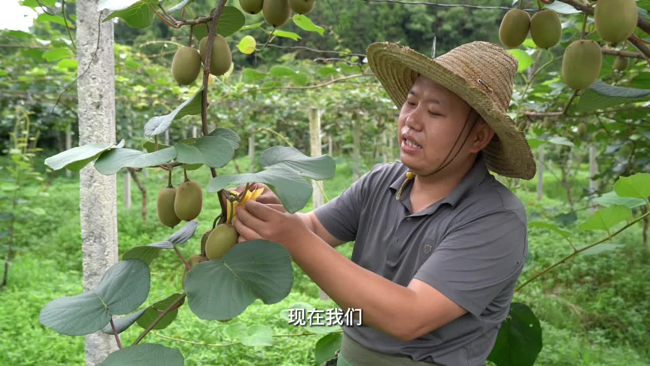 我们的新时代|杨修和：志做乡村振兴“领头雁”