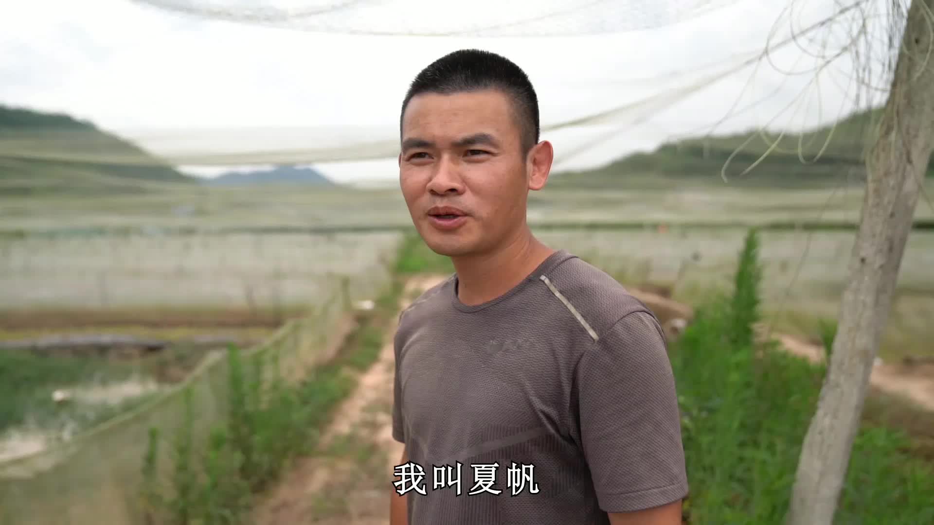 致富“带路人”夏帆：从退伍军人到养蛙“达人”  蛙声叫响乡村振兴