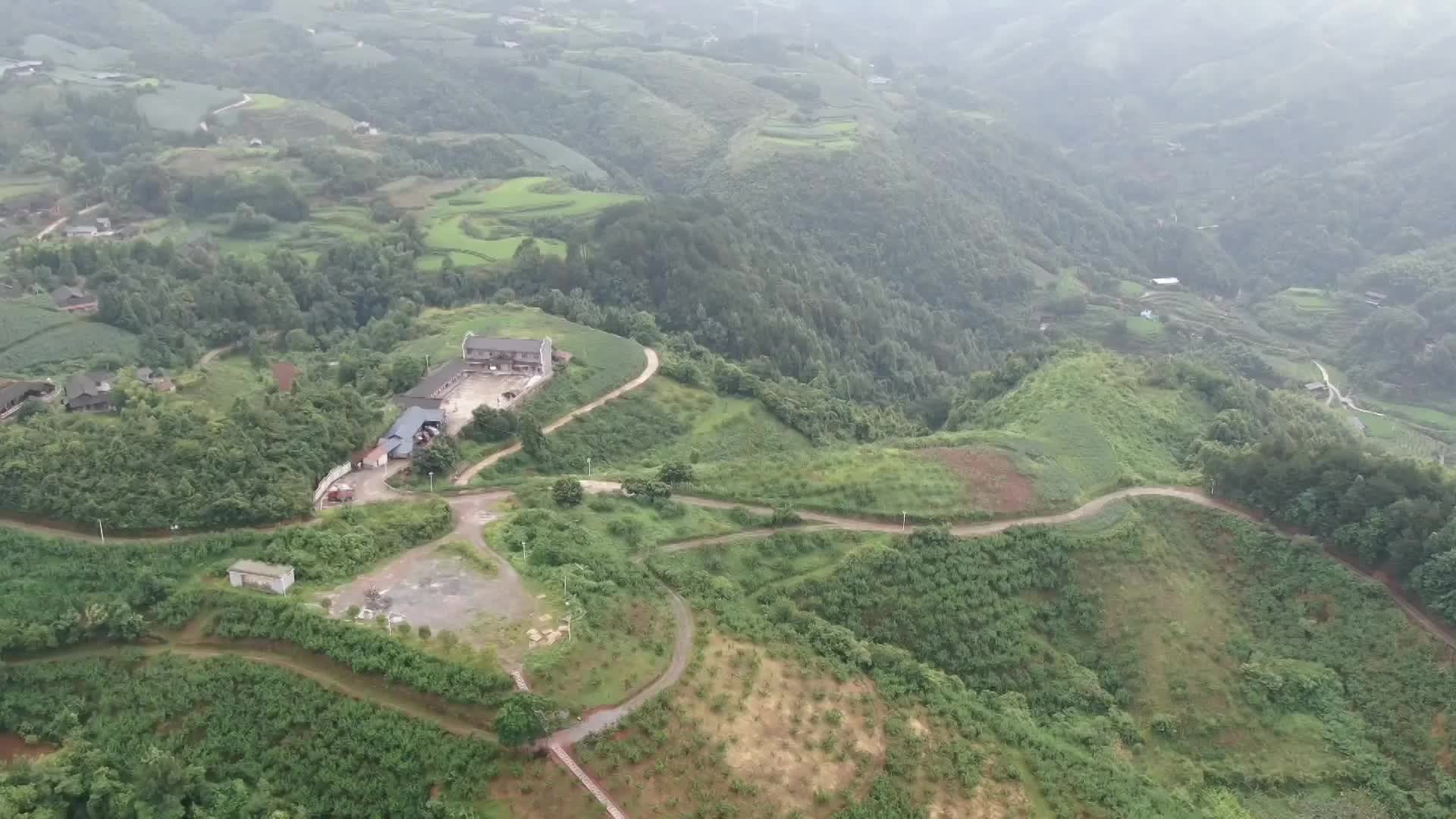 视频|中方半界村：千亩桃园“甜蜜”开园