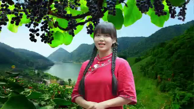 中方农旅推荐官丨网红湘妹心宝邀您参加2022'中方刺葡萄品牌推介会！
