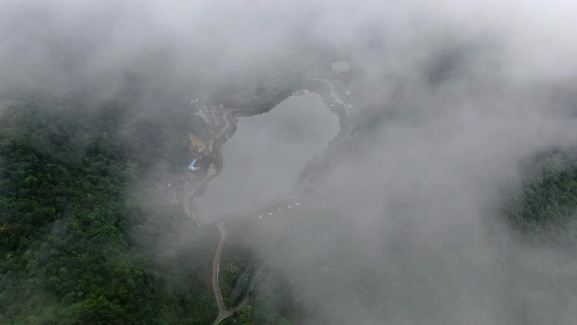 视频｜潘存梅：诚邀大家来中方采摘葡萄