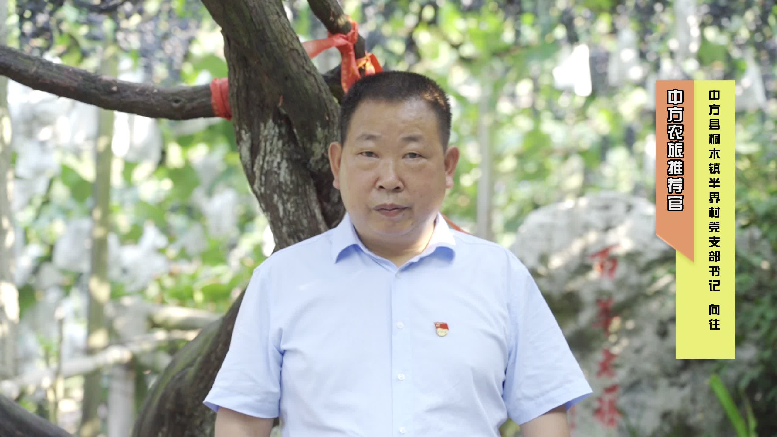 中方农旅推荐官丨桐木镇半界村党支部书记向往邀您参加2022'中方刺葡萄文化旅游节暨农民丰收节！