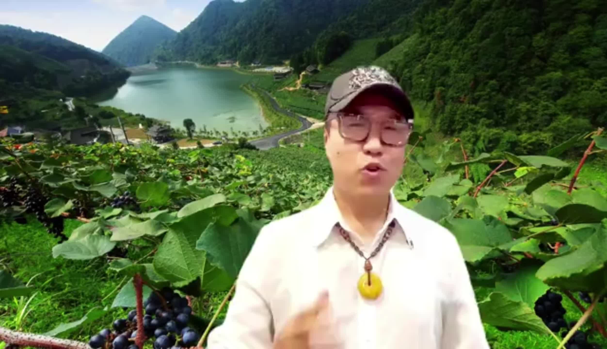 中方农旅推荐官|音乐人春雷邀您参加2022'中方刺葡萄文化旅游节暨农民丰收节！