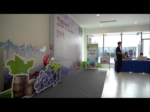 “中方葡萄 湘当有味” 2022'湖南·中方刺葡萄品牌推介会直播全程