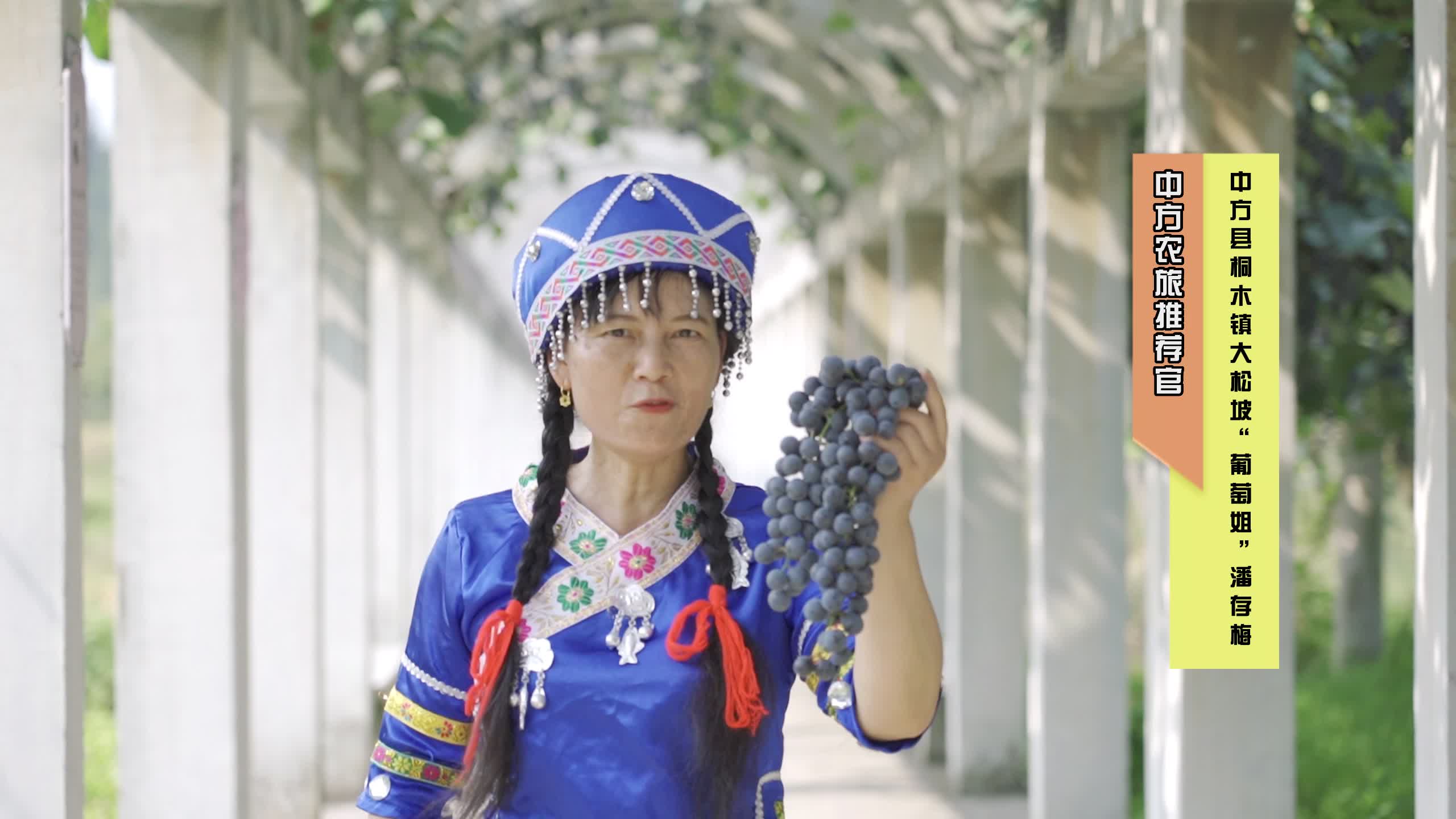 中方农旅推荐官|“葡萄姐”潘存梅邀您参加2022'中方刺葡萄文化旅游节暨农民丰收节！