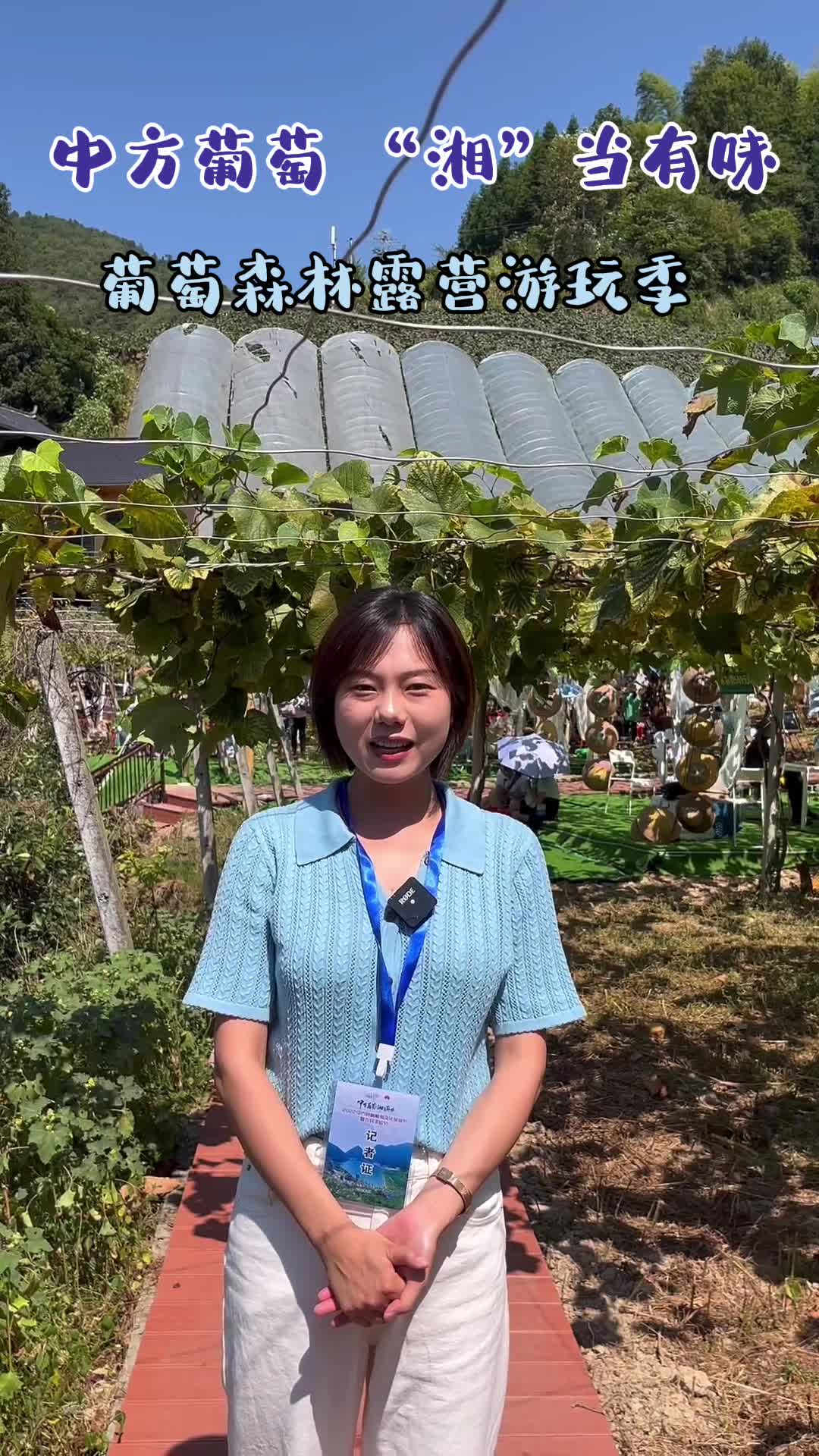 怀化中方：葡萄架下的露营游玩季来了！