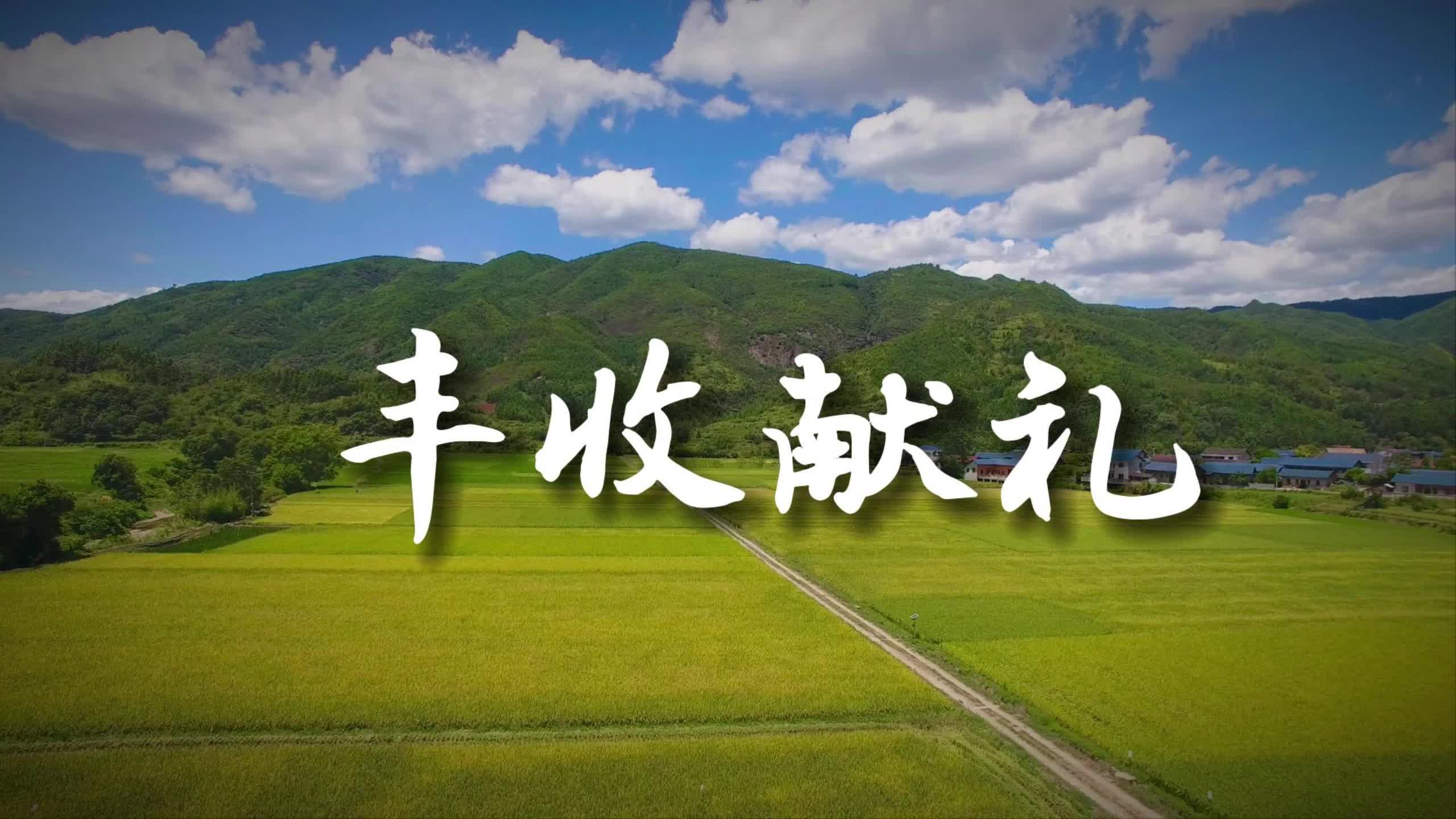 中国农民丰收节|怀化中方：丰收节里庆丰年，喜看农民笑开颜