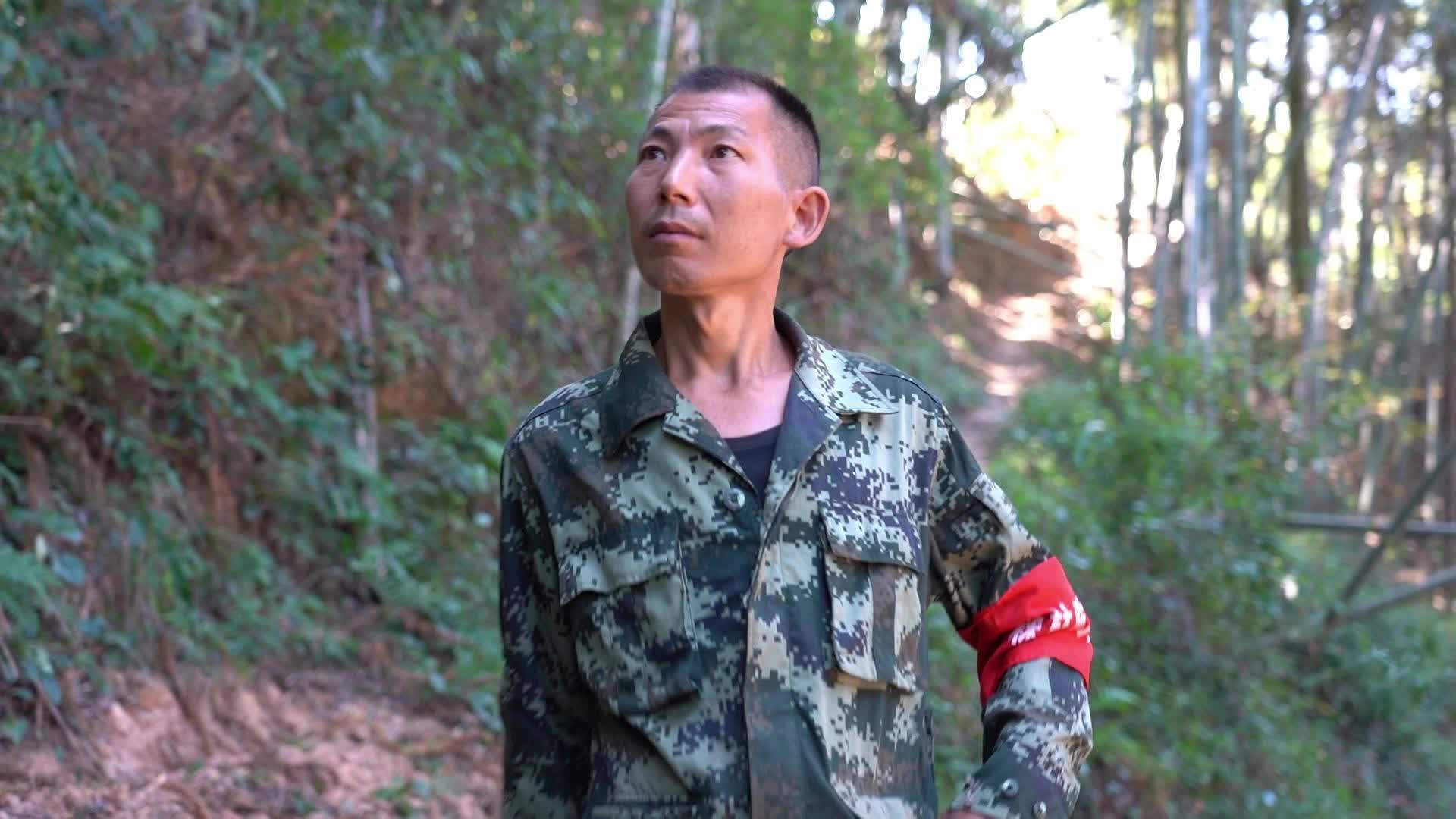 视频|护林员潘建华：与林为伴守青山