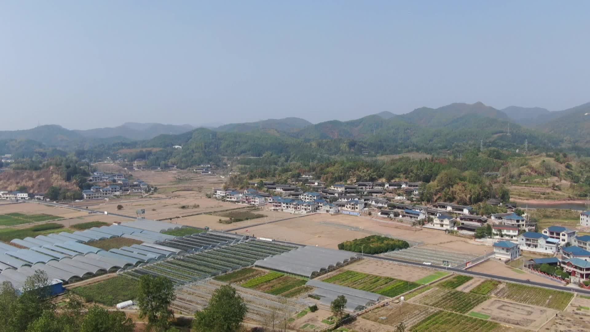 视频｜中方桐坪村：特色产业带领群众增收致富