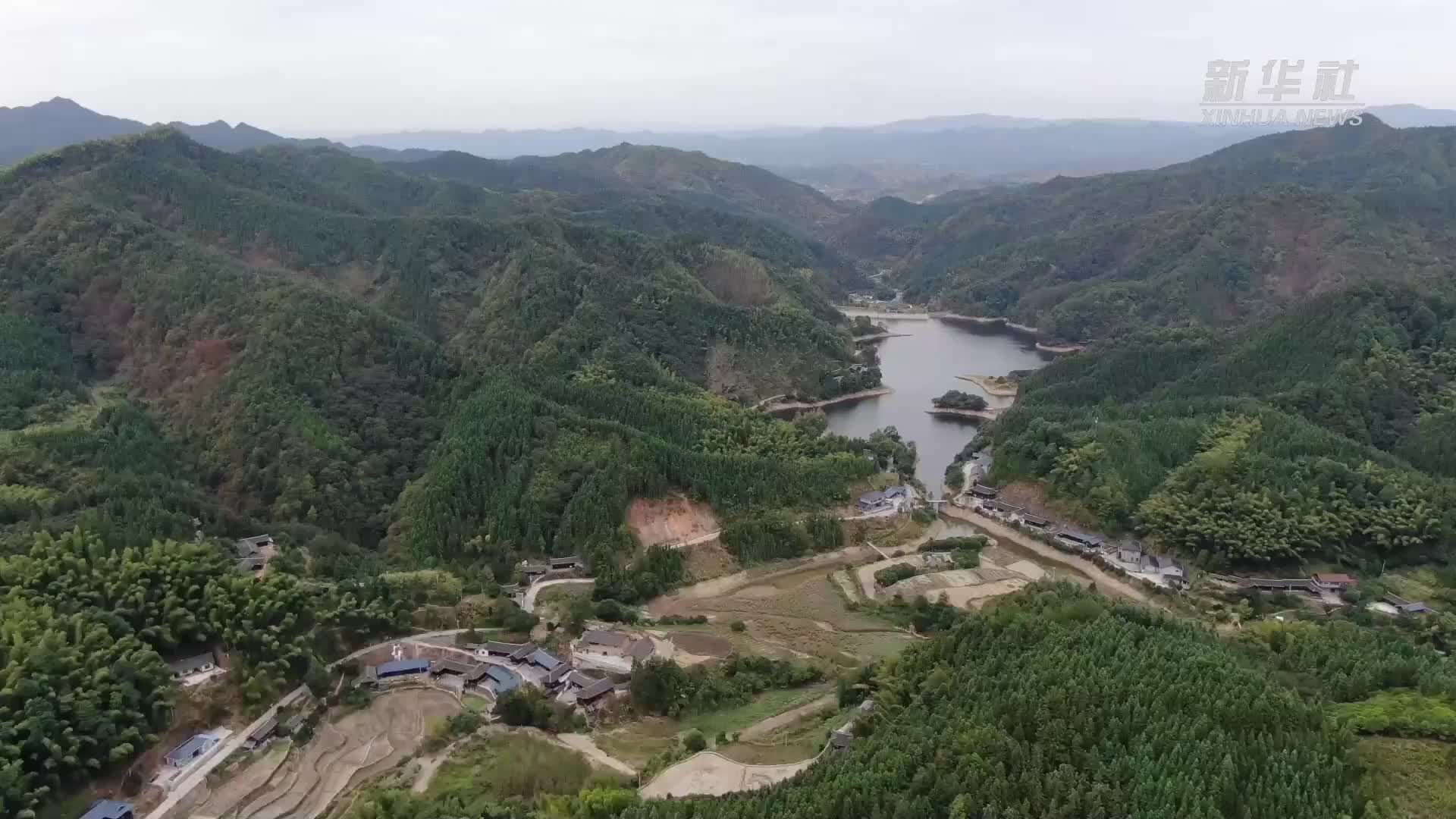 新华社|湖南中方：冬桃大丰收 喜摘“致富果”