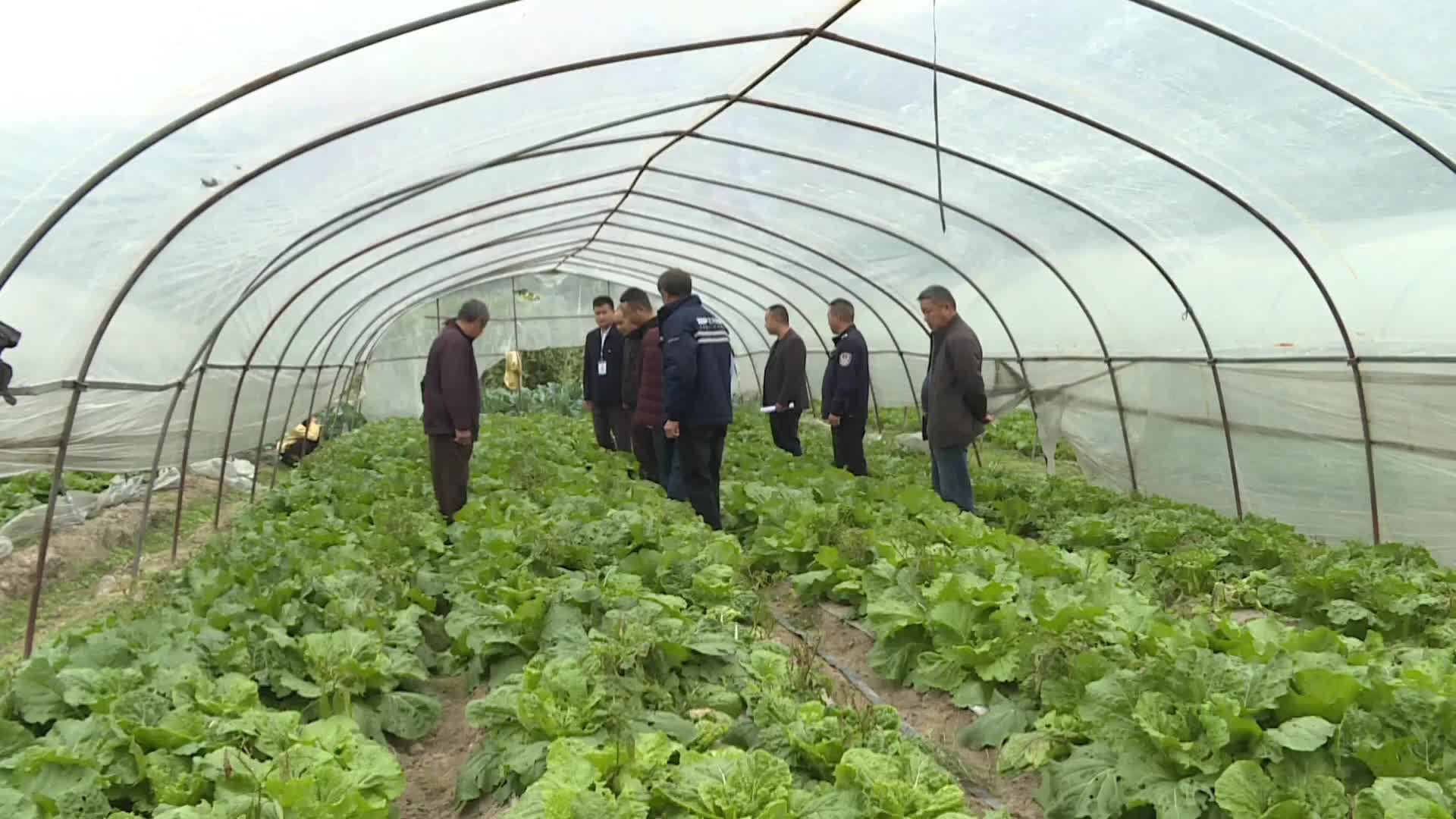 视频|中方县：田间地头宣讲忙 乡村振兴信心足