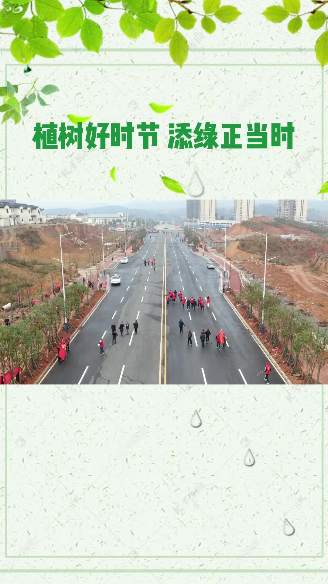 视频 | 植树好时节 添绿正当时