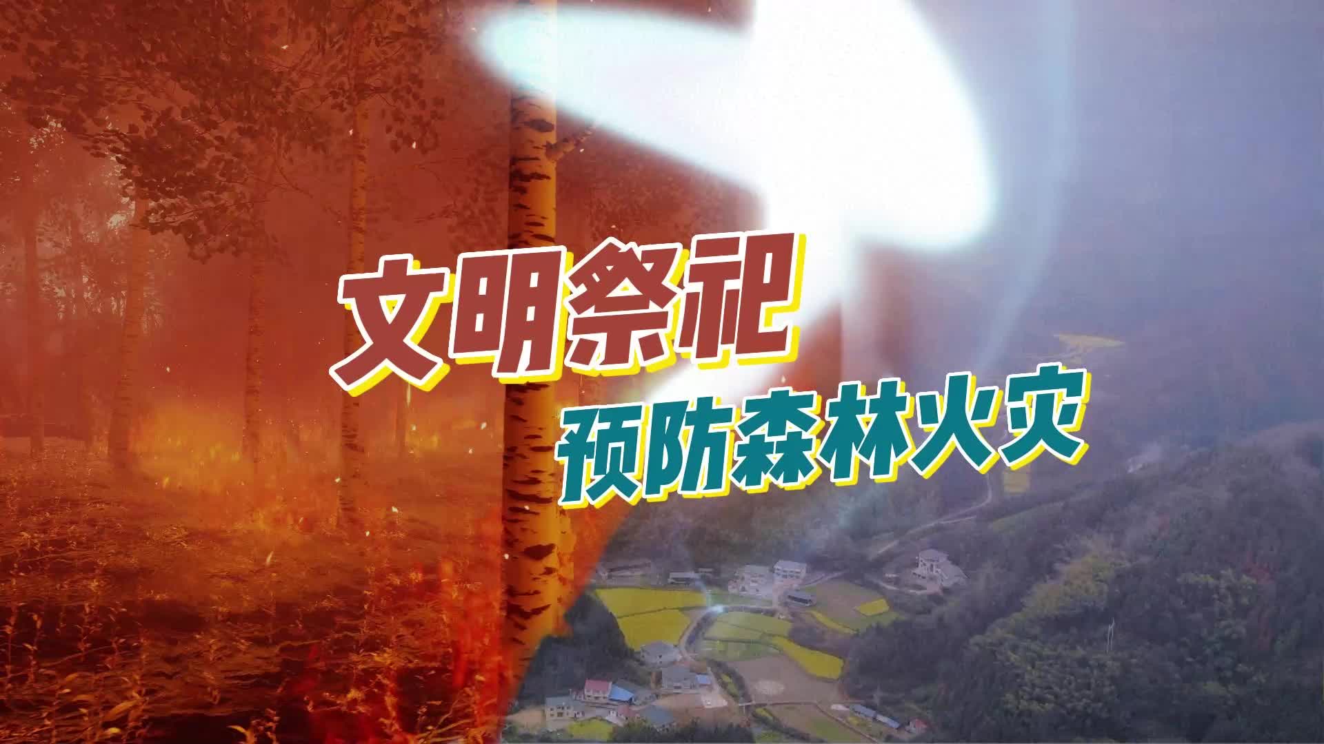 网络中国节·清明 视频|中方镇人民政府文明祭祀森林防火宣传片：绿色过清明 文明祭相思