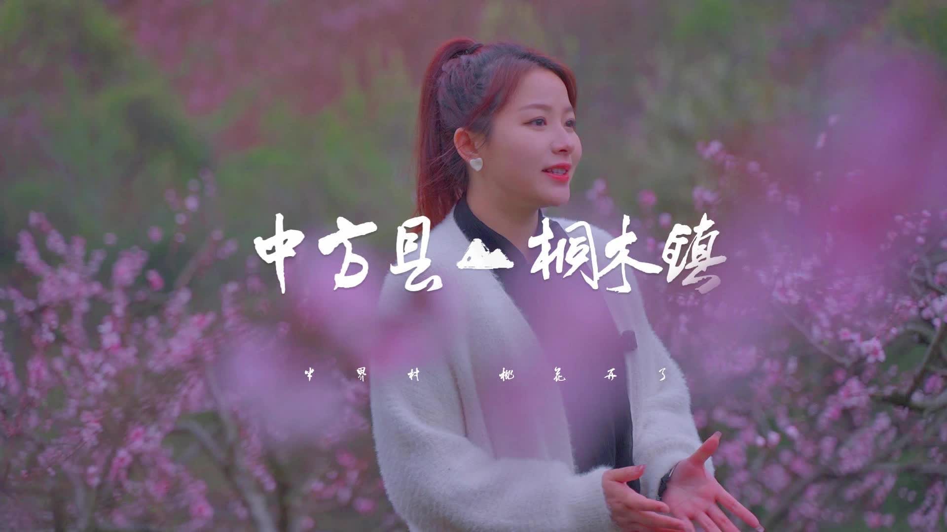 视频|春天的颜色是桃花的色彩，快来中方半界赏桃花~~