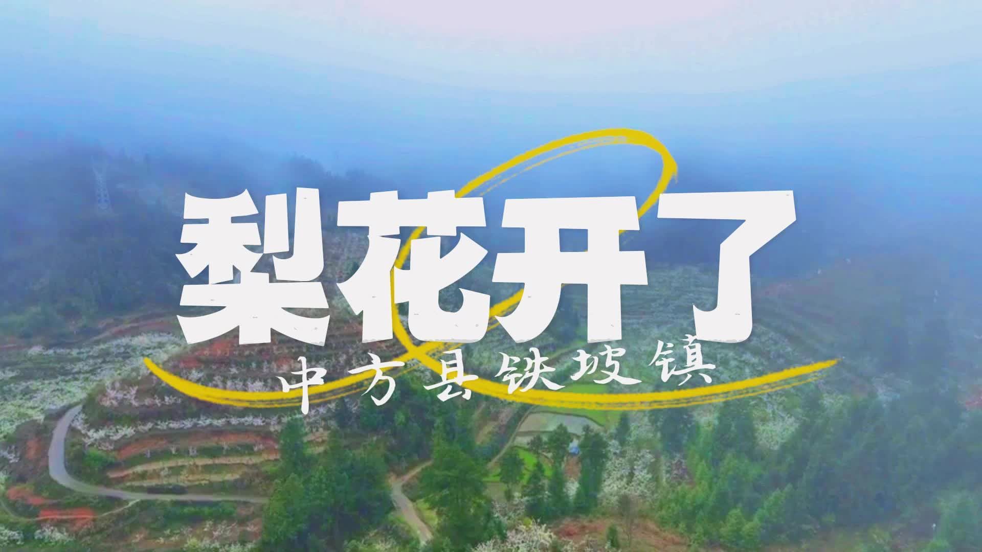 继网开来 链动怀化|梨园赏“雪”——赴一场梨花之约，我在中方铁坡等您！